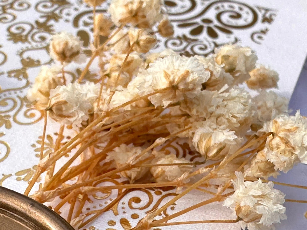 Clear Acrylic Wedding Invitation with Gold Foil & Ornate White Wrap LunaInvites