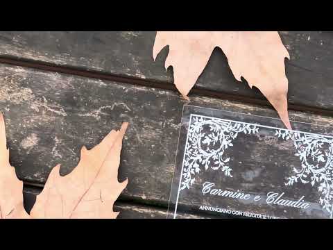 Clear Acrylic Wedding Invitation with White Print, Green Envelope & White Wax Seal